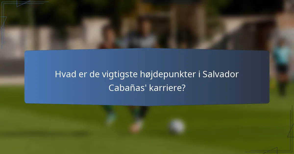 Hvad er de vigtigste højdepunkter i Salvador Cabañas' karriere?