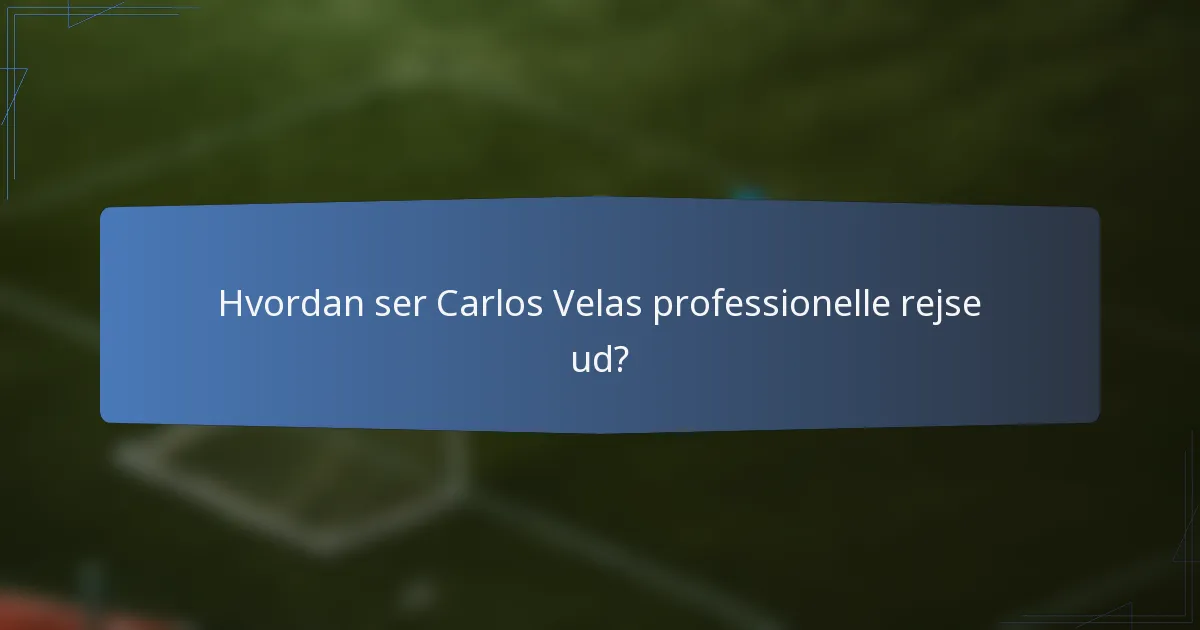 Hvordan ser Carlos Velas professionelle rejse ud?